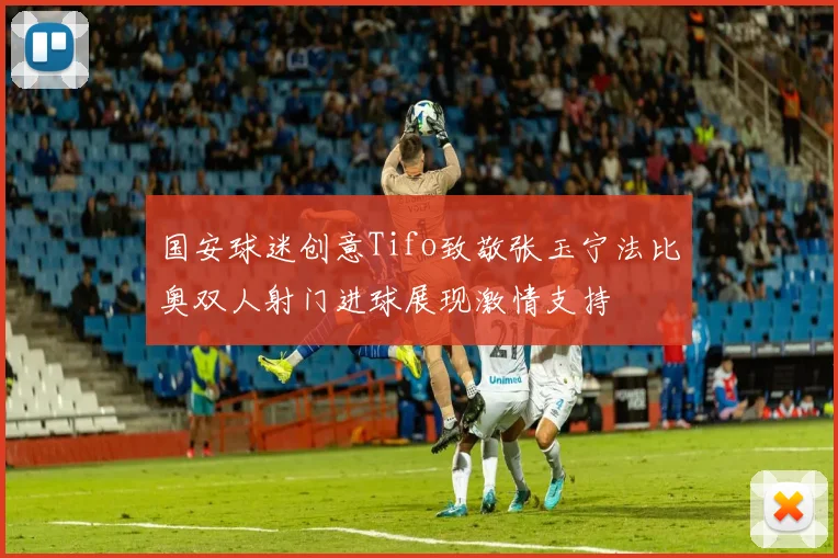 国安球迷创意Tifo致敬张玉宁法比奥双人射门进球展现激情支持